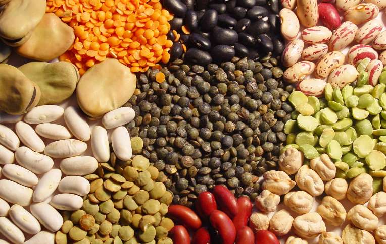 Pymes buscan exportar alimentos con valor agregado a EE.UU