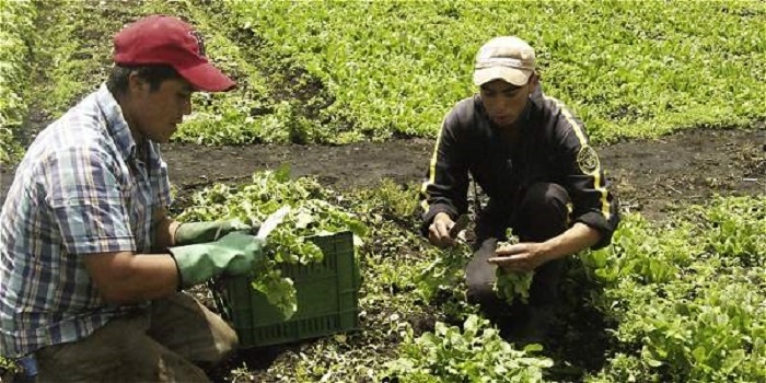 Productores regionales alertan por crecimiento de la concentración del mercado