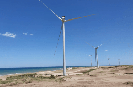 El parque eólico de Genneia de Necochea ya genera energía limpia