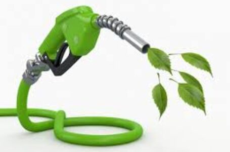 Biocombustibles: las claves sobre el nuevo régimen que sancionó el Senado
