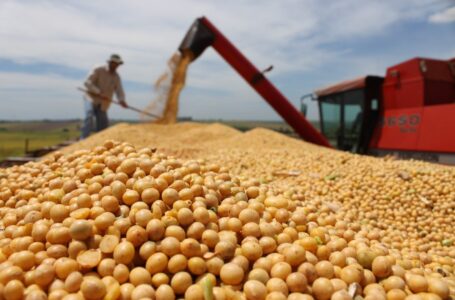 Empieza la implementación de las compensaciones económicas para pequeños y medianos productores de soja