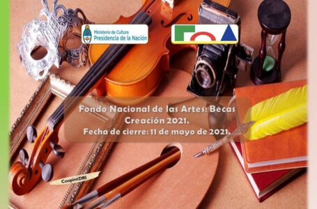 Subsidios para Emprendedores de la Cultura del Fondo Nacional de las Artes