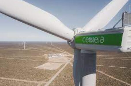 Comenzó a operar el parque eólico Norte II en Chubut, destinado a grandes usuarios de energía eléctrica