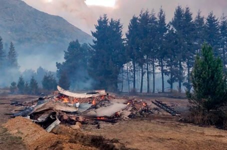 Otorgan $200 millones en créditos a pymes afectadas por los incendios en Chubut