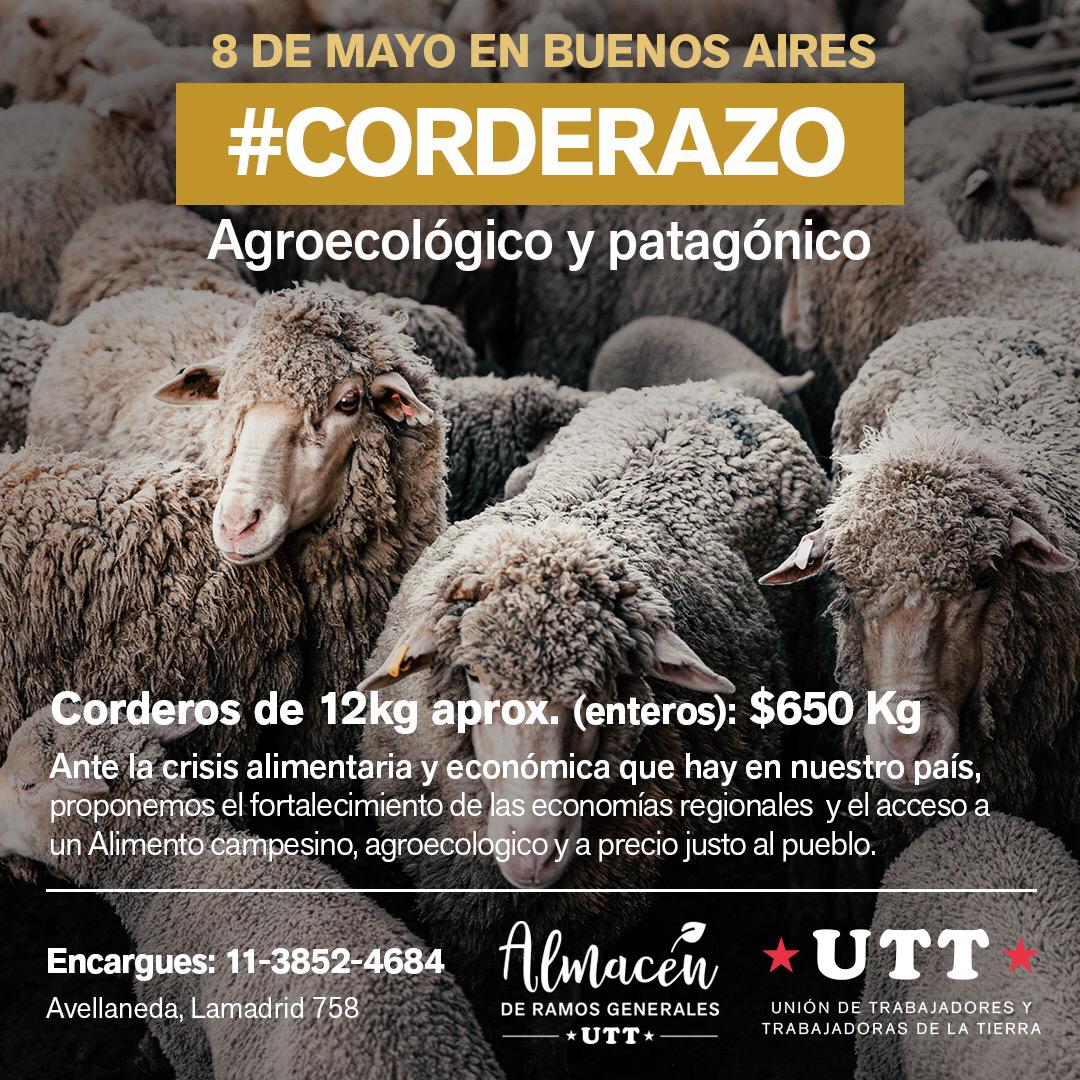 Productores patagónicos ofrecen corderos agroecológicos a precio justo en Buenos Aires