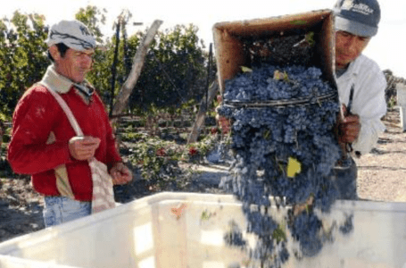 La situación productiva de Mendoza es crítica. Entrevista a Juan Manuel Gispert, director de FEM