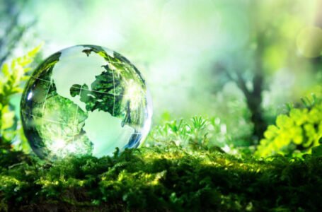 Presentan un Plan de Desarrollo Productivo Verde con foco en las Pymes sustentables