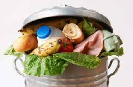 Desperdicio de alimentos: Qué pueden hacer las industrias y comercios Pymes para evitarlo