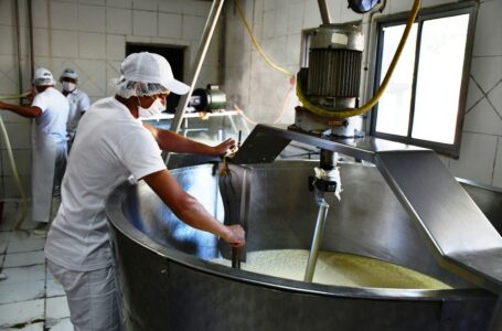 Cooperativas proponen sumar más pymes a la producción de alimentos