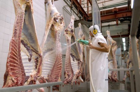 Exportación de carne: el Gobierno prohibió por dos años los embarques de siete cortes parrilleros