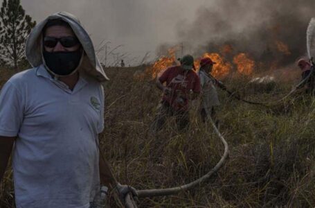 Incendios en Corrientes: eximen de impuestos a los productores con menos de 2000 hectáreas