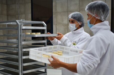 Se puso en marcha la primera fábrica regional que produce quesos 100% a base de plantas