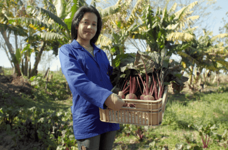 Bayer lanzó Legado, su programa de apoyo a emprendimientos sustentables en salud y alimentación. Cómo postularse