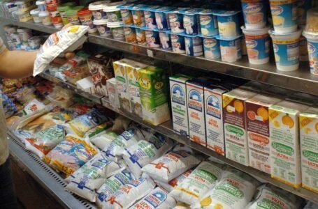 Precios Cuidados: incorporan más de 100 productos lácteos