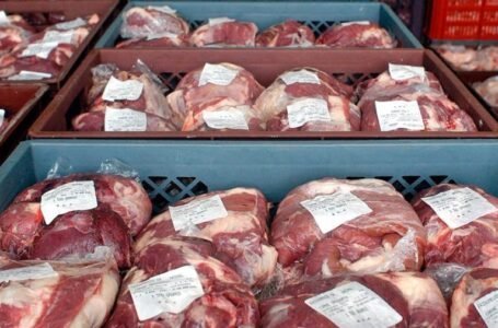 Las exportaciones de carne vacuna cerraron el primer semestre con récord