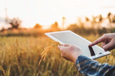 6 pasos para digitalizar el negocio del agro