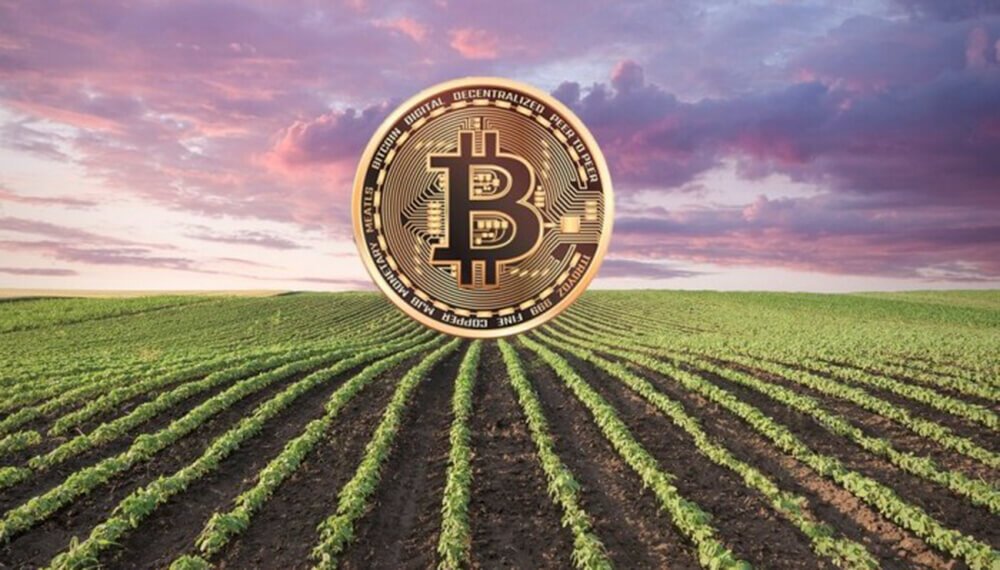 Acindar Pymes otorgará por primera vez avales financieros respaldados con agrotokens