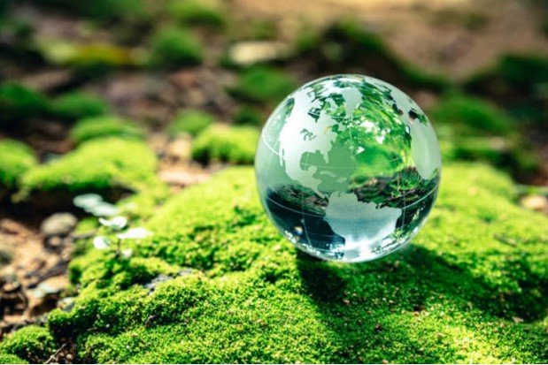 En el Día de la Tierra, cinco formas de reducir nuestro impacto ambiental