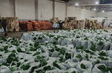 En lugar de importar alimentos para bajar la inflación productores proponen incentivar la agroecología y los mercados de cercanía