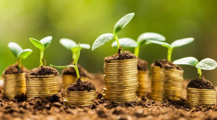 Finanzas y Sustentabilidad: Supervielle lanza Fondo Común de Inversión ambiental, social y de gobernanza (ASG)