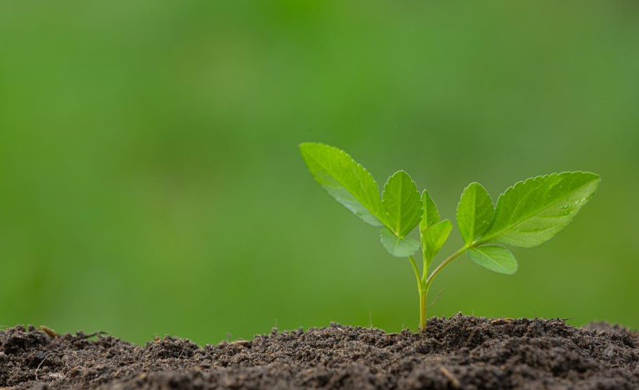 Empresas y medioambiente: una alianza indispensable