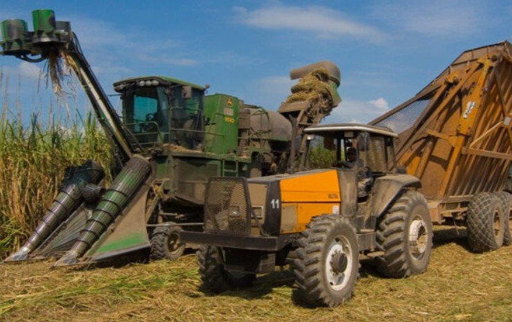 Nueva edición del programa CoopAr: Financiarán con $ 3.000 millones a cooperativas agroindustriales