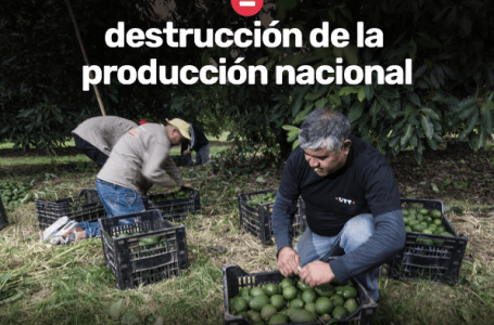 Importar alimentos destruye la producción y el empleo nacional, advierten desde la Mesa Agroalimentaria