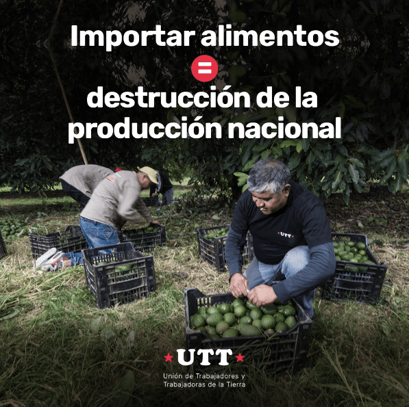 Importar alimentos destruye la producción y el empleo nacional, advierten desde la Mesa Agroalimentaria
