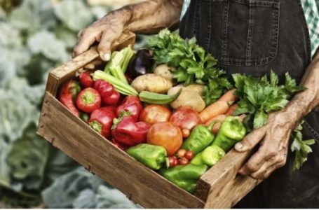 Del campo a la góndola, los precios de los agroalimentos se multiplicaron por 3,5 veces en abril