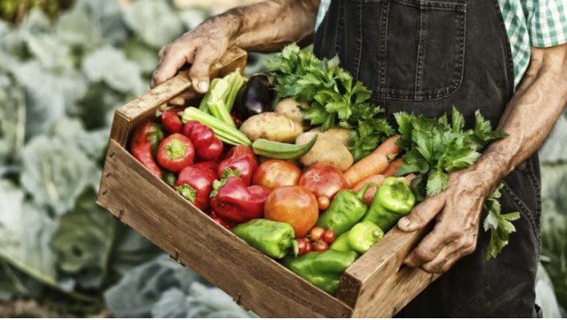 Del campo a la góndola, los precios de los agroalimentos se multiplicaron por 3,5 veces en abril