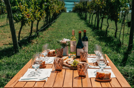 Vinos sustentables: 23 bodegas de 14 provincias certificarán sus prácticas de sostenibilidad