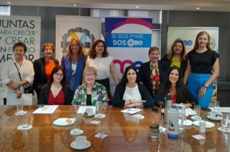 Mujeres empresarias realizaron un plenario regional donde se expusieron iniciativas para el NEA