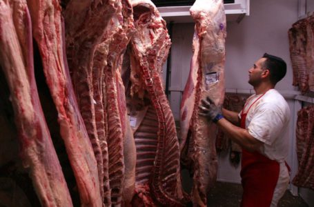 El consumo de carne interno volvió a caer mientras crecen las exportaciones