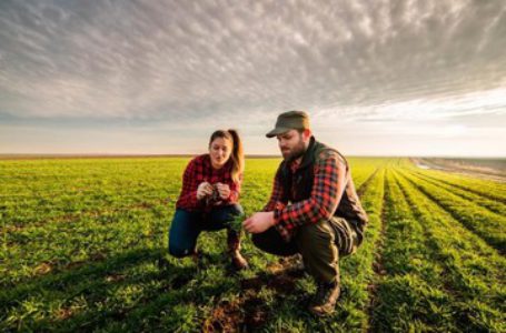 Agro + Futuro, un programa de inclusión social, educación y generación de empleo rural concluyó su primera edición. Cómo participar