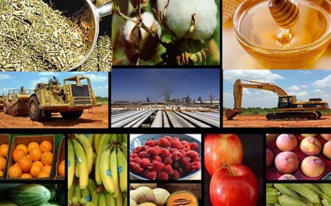 Crecen las exportaciones de las economías regionales, pero baja su valor en dólares