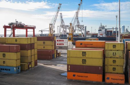 En los últimos 10 años se redujo a la mitad la cantidad de Pymes exportadoras
