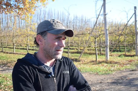 «La producción de peras y manzanas del Alto Valle está complicada y el consumo bajó. Los costos son muy altos y quedamos muy caros en dólares», Sebastián Hernandez, Federación de Productores de Fruta de Río Negro y Neuquén
