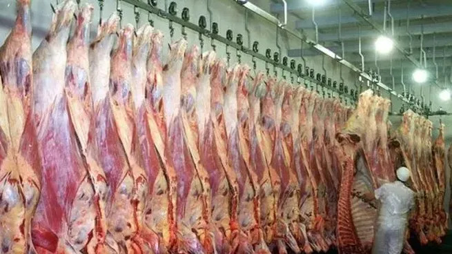 Cómo afectará a Argentina el nuevo arancel del 55% que China le impondrá a la carne vacuna
